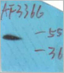product-image-AAA31058_WB2.jpg
