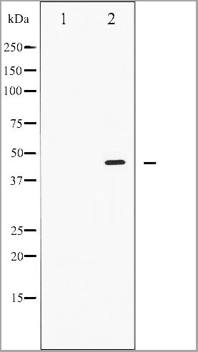 product-image-AAA31059_WB4.jpg