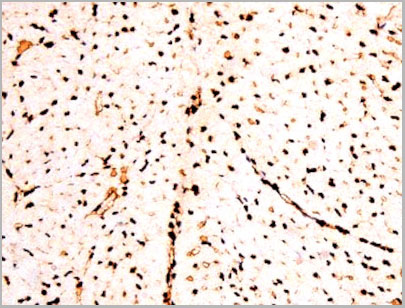 product-image-AAA31067_IHC8.jpg