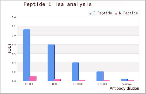 product-image-AAA31070_ELISA9.jpg