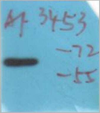product-image-AAA31072_WB3.jpg