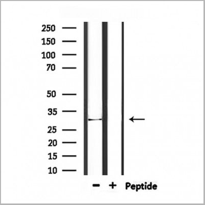 product-image-AAA31128_WB.jpg