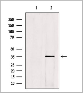 product-image-AAA31140_WB2.jpg