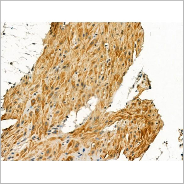 product-image-AAA31164_IHC5.jpg