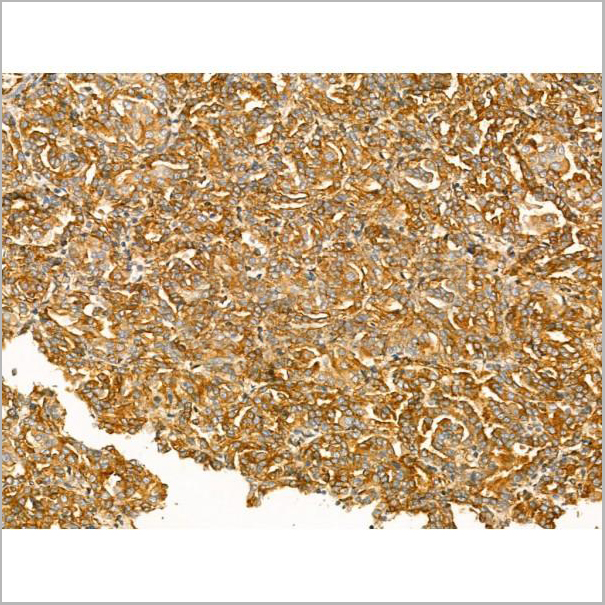 product-image-AAA31165_IHC8.jpg