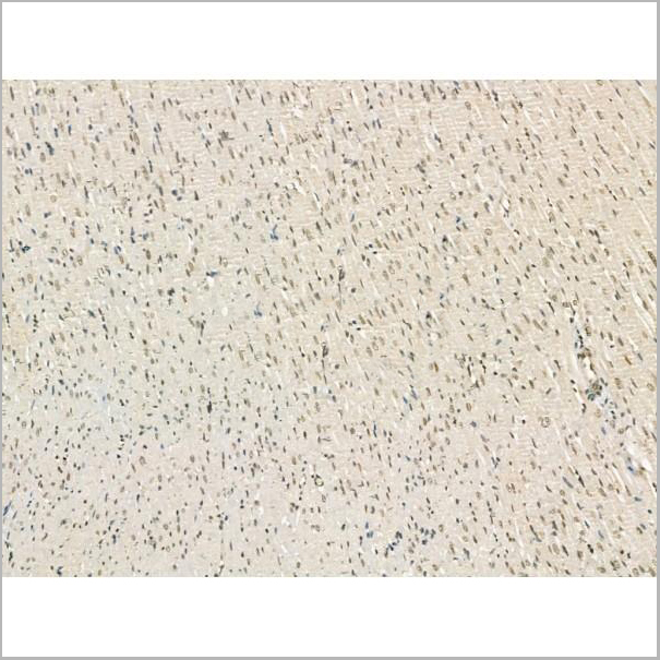 product-image-AAA31182_IHC5.jpg