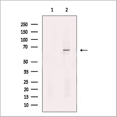 product-image-AAA31194_WB2.jpg