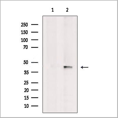 product-image-AAA31197_WB.jpg