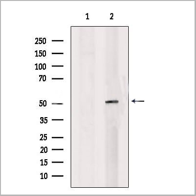 product-image-AAA31211_WB.jpg