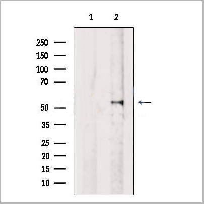 product-image-AAA31220_WB.jpg
