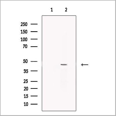 product-image-AAA31225_WB2.jpg