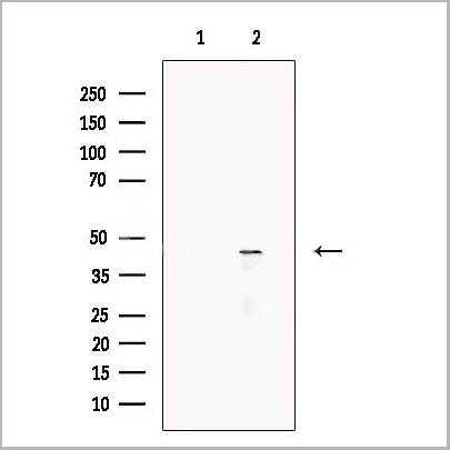 product-image-AAA31230_WB2.jpg