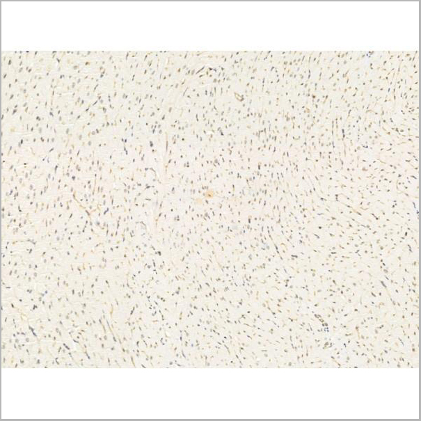 product-image-AAA31249_IHC3.jpg