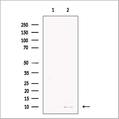 product-image-AAA31273_WB.jpg