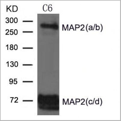 product-image-AAA31338_WB2.jpg