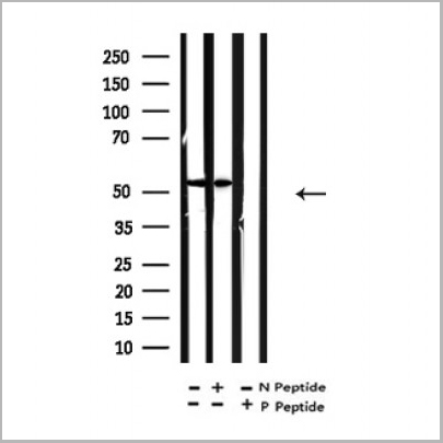 product-image-AAA31344_WB3.jpg