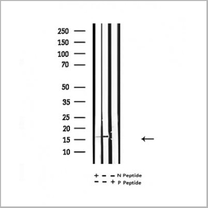 product-image-AAA31353_WB3.jpg