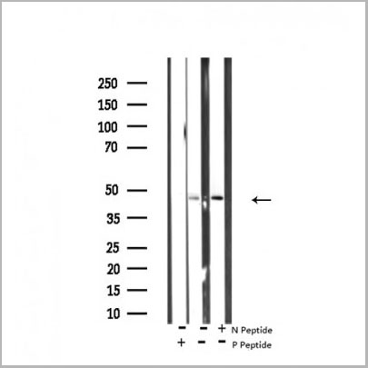 product-image-AAA31407_WB.jpg