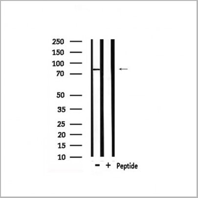 product-image-AAA31414_WB2.jpg