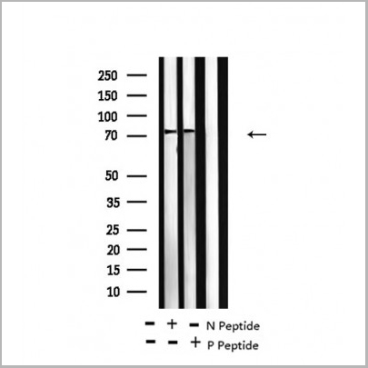 product-image-AAA31414_WB3.jpg