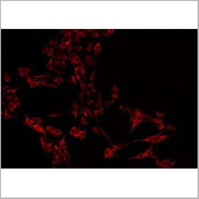 product-image-AAA31419_APP13.jpg