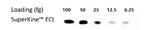 product-image-AAA31545_APP.png