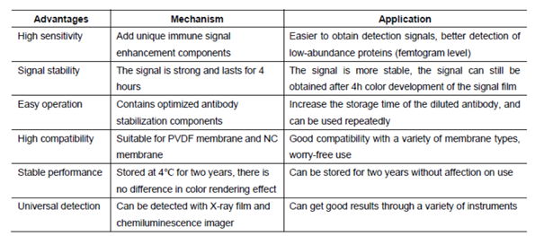 product-image-AAA31545_APP2.png