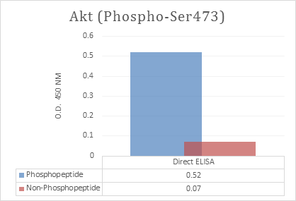 product-image-AAA318616_ELISA13.png