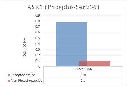 product-image-AAA318619_ELISA13.png