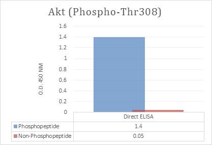 product-image-AAA318633_ELISA13.png
