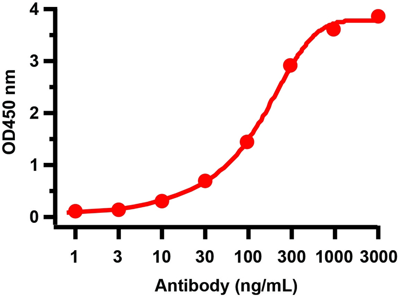 product-image-AAA40915_ELISA11.jpg