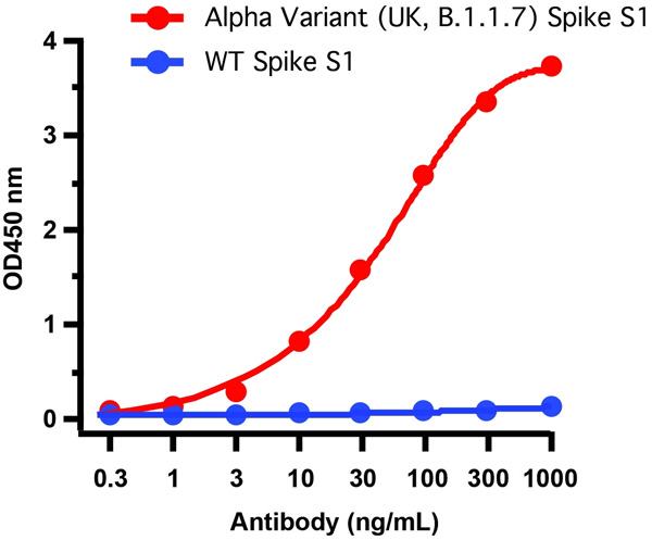 product-image-AAA40924_ELISA15.jpg