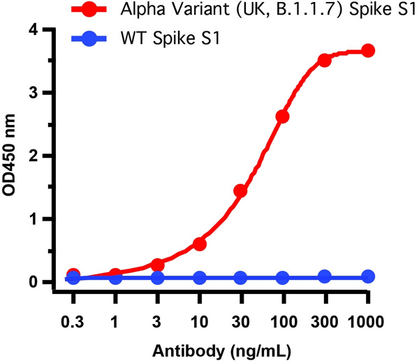 product-image-AAA40925_ELISA15.jpg