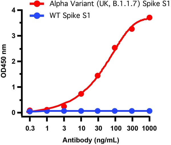 product-image-AAA40926_ELISA15.jpg
