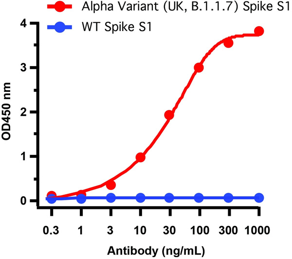product-image-AAA40927_ELISA15.jpg