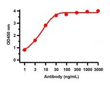 product-image-AAA40929_ELISA15.jpg