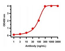 product-image-AAA40934_ELISA15.jpg
