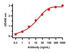 product-image-AAA40935_ELISA13.jpg