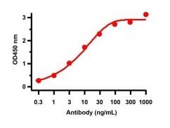 product-image-AAA40937_ELISA13.jpg