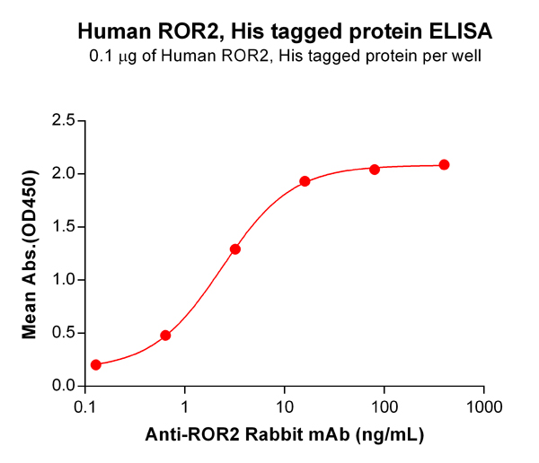 product-image-AAA47249_ELISA15.jpg