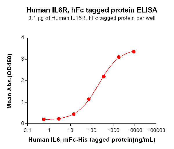 product-image-AAA47356_ELISA15.png