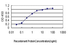 product-image-AAA51873_ELISA10.jpg