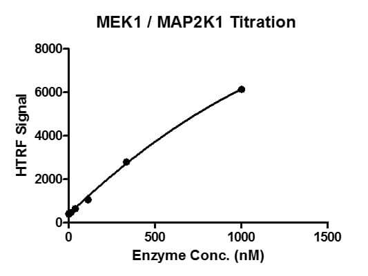product-image-AAA60313_BIOACTIVITY13.jpg