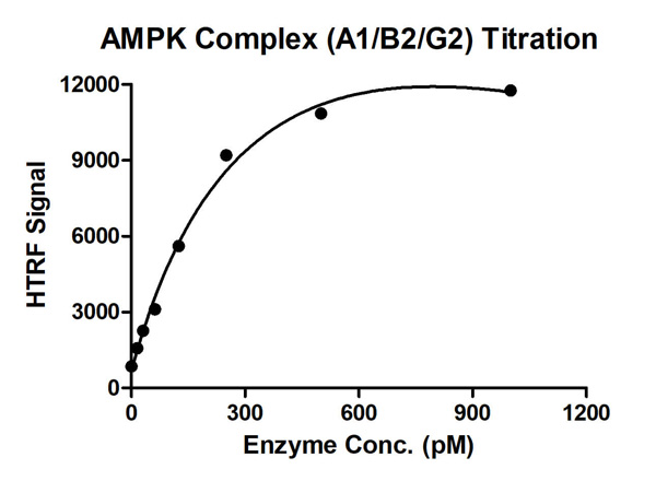 product-image-AAA60318_BIOACTIVITY13.jpg