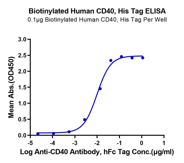 product-image-AAA76149_ELISA11.jpg