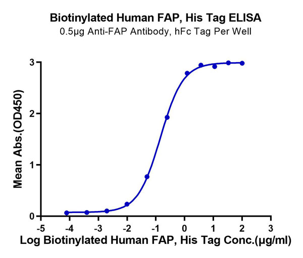 product-image-AAA76305_ELISA11.jpg