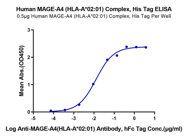 product-image-AAA76372_ELISA11.jpg